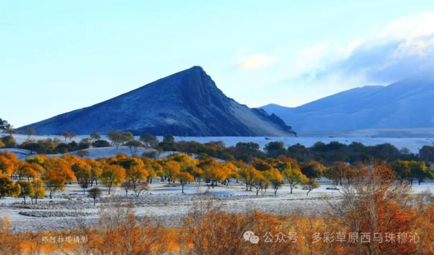 640 (19).jpg 640 (19).jpg